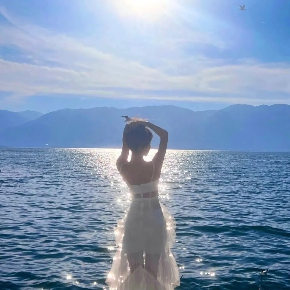 瞒天过海2：长驱直入